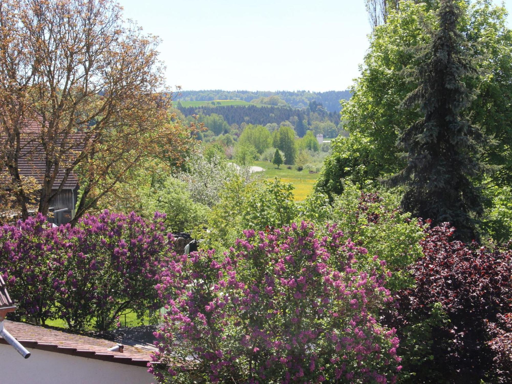 Vronis Ferienwohnungen Muhlingen Exterior foto